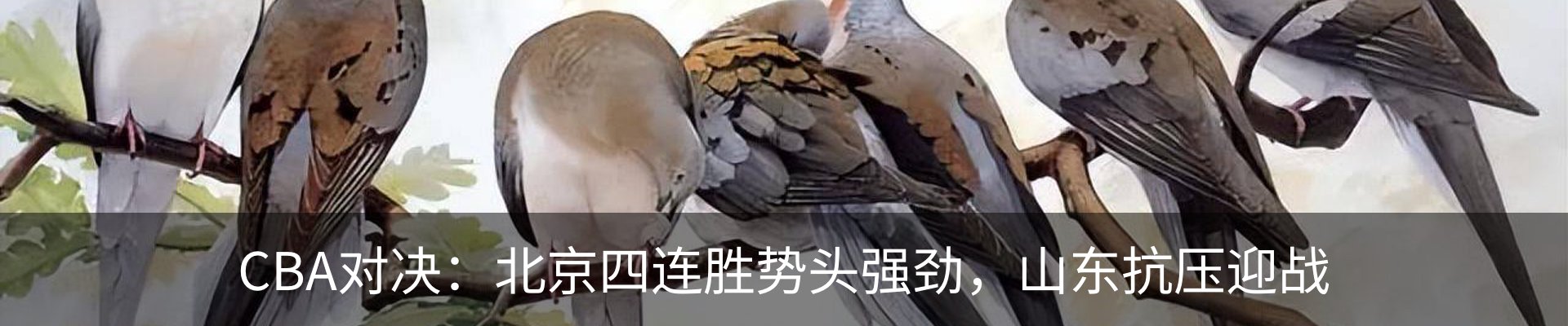 行业资讯